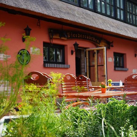 Pferdehof Bela Διαμέρισμα Nonnevitz Εξωτερικό φωτογραφία