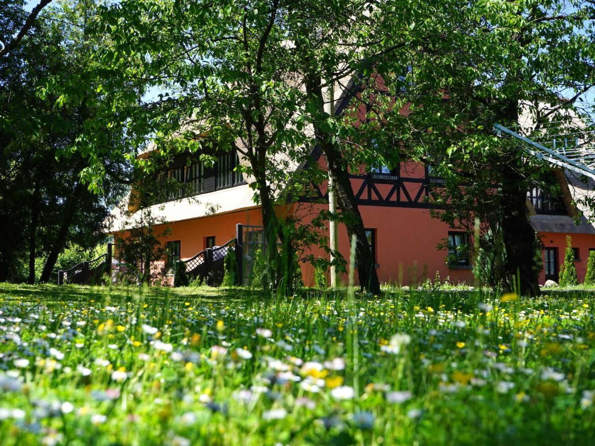 Pferdehof Bela Διαμέρισμα Nonnevitz Εξωτερικό φωτογραφία
